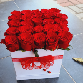  Alanya Flower Delivery 